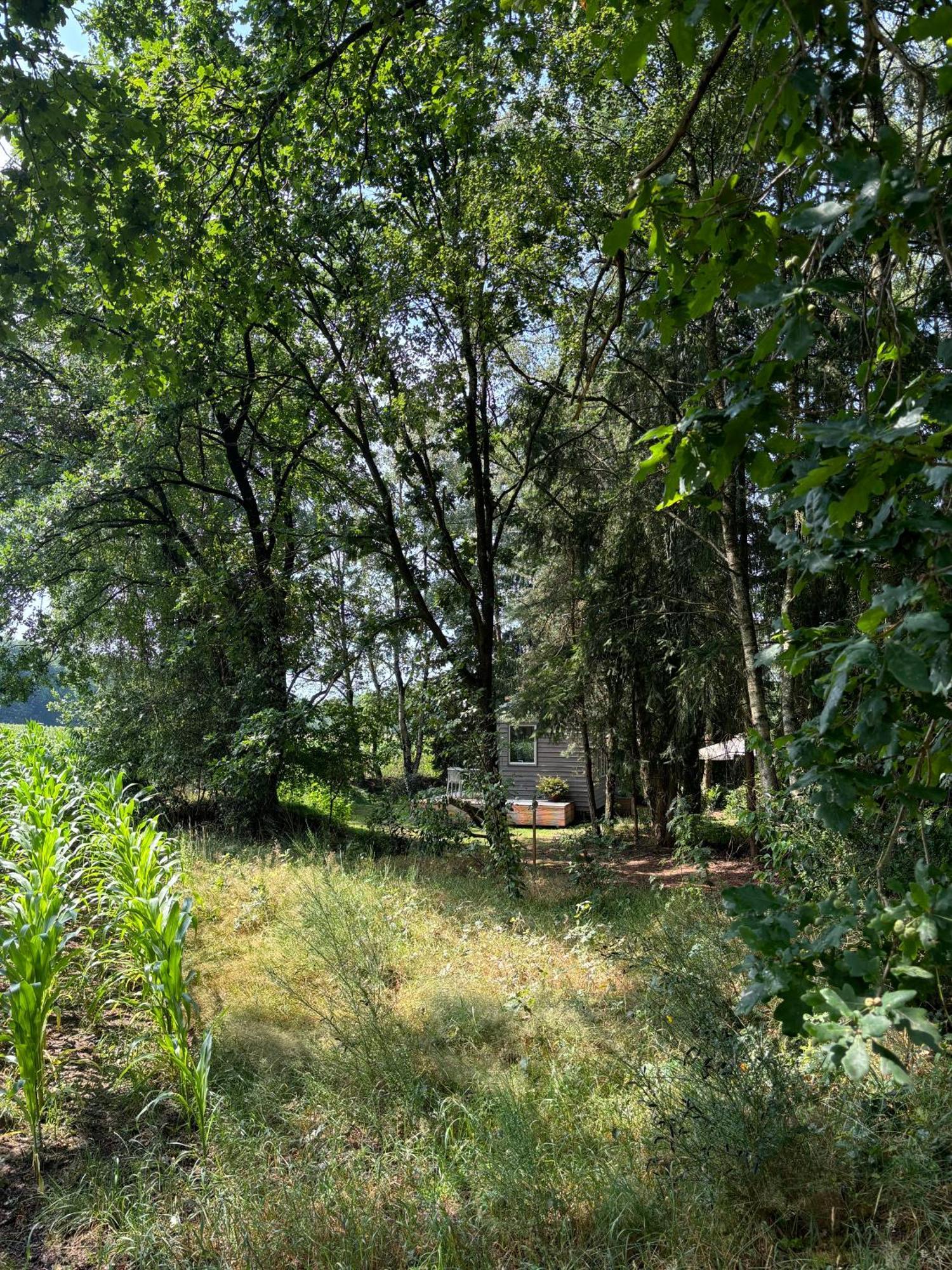 Tiny House Mit Garten In Der Lueneburger Heide Зольтау Экстерьер фото